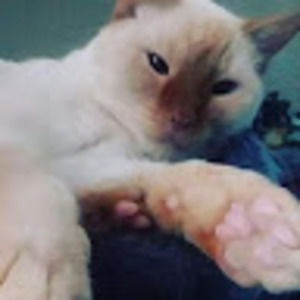 Meet your Posher, Mackenzie